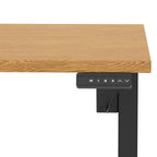 Dynamic Air Lite Height Adjustable Desk with Scalloped Edge - Official Workspace View