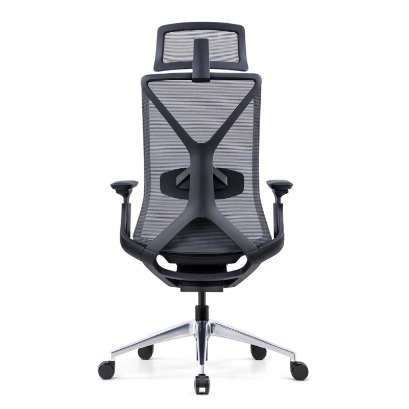 UpDown Ergo ProFlex Ergonomic Office Chair Rear View