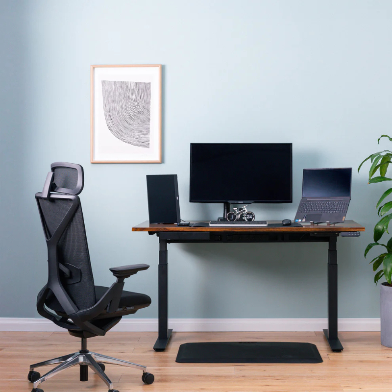 UpDown Ergo ProFlex Ergonomic Office Chair Setup View