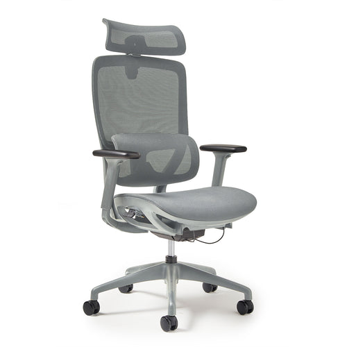 Dams Kara Mesh Ergonomic Office Chair - Front View with Headrest